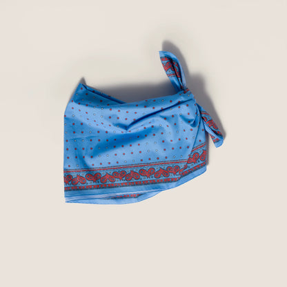 Periwinkle/Red