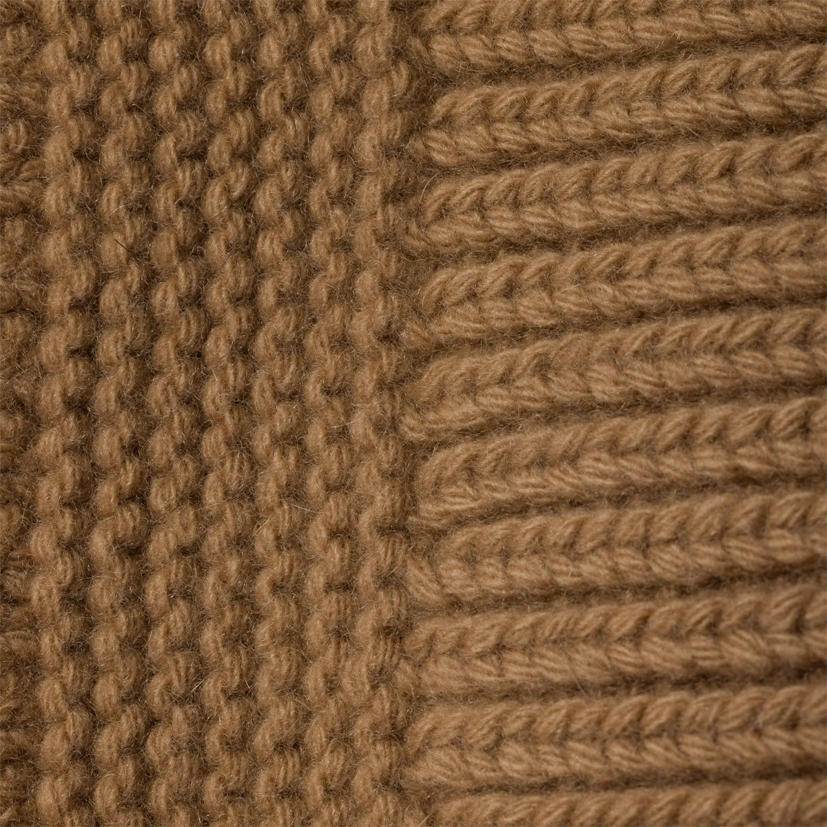 Camel Brown