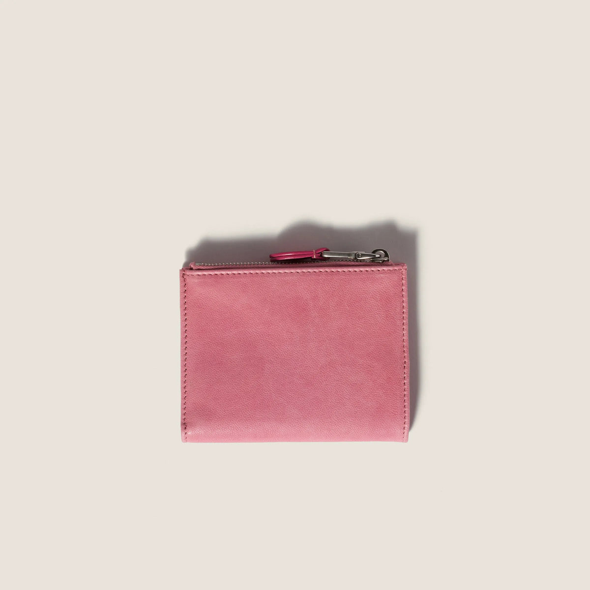 Begonia Pink