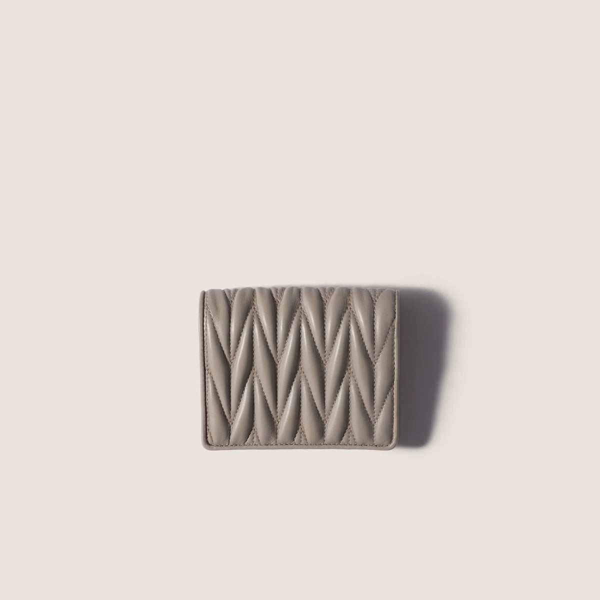 Pumice Stone